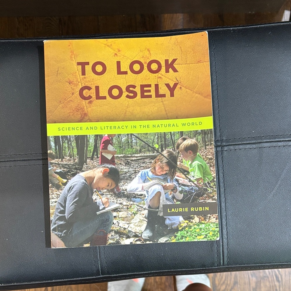 To Look Closely Book